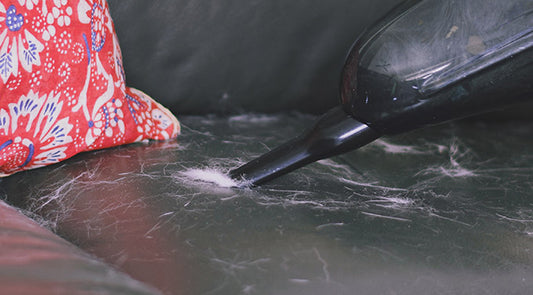 How to Clean Pet Hair the Right Way from Different Surfaces