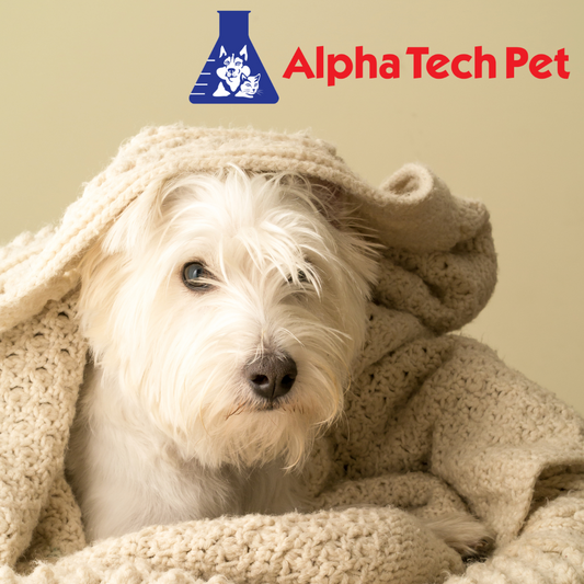 The Significance of Routine Pet Laundry for Pet Owners