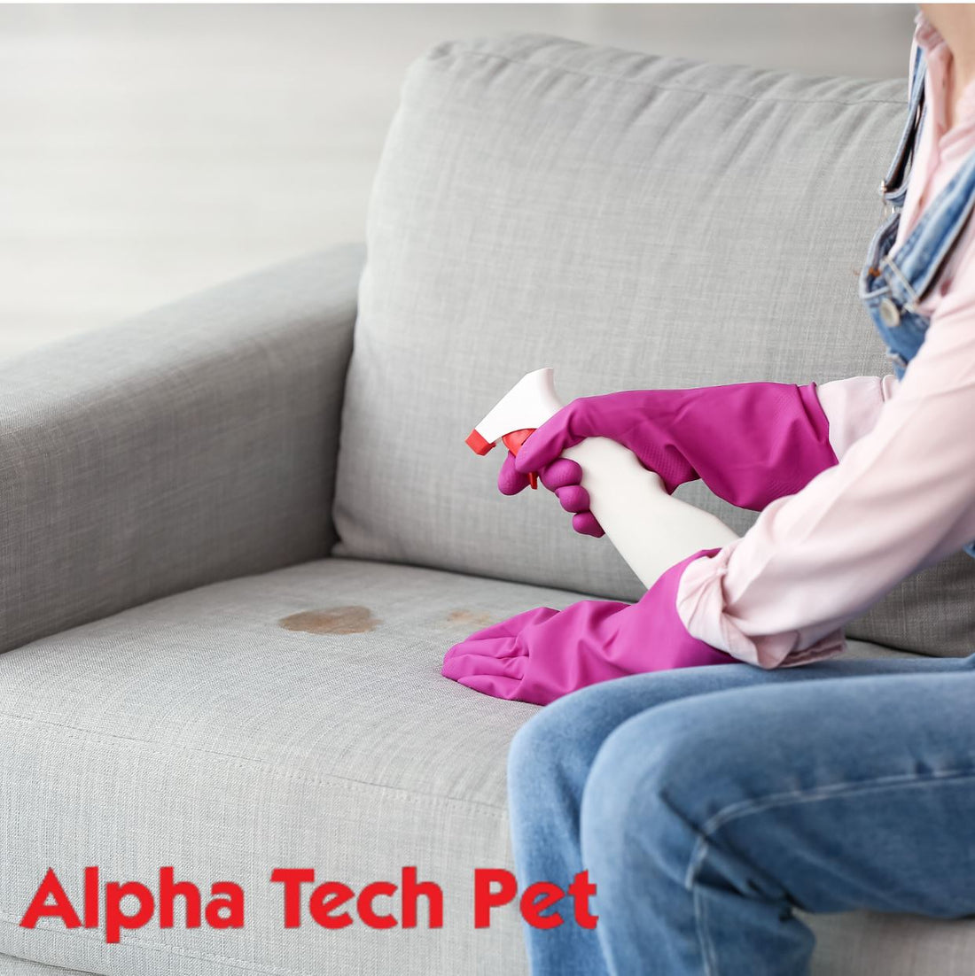 Pet Odor & Stain Removers