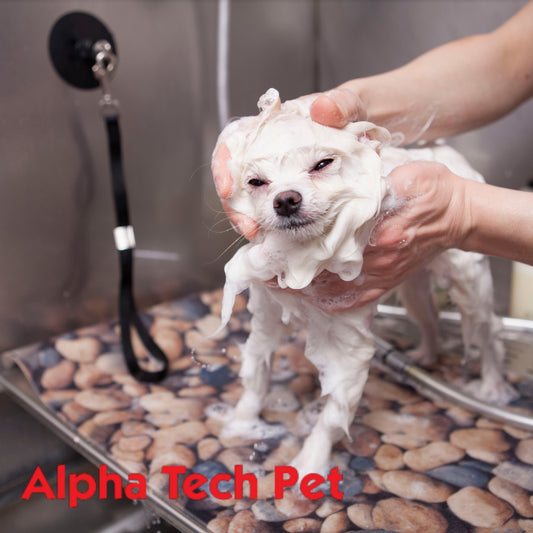 Keep Your Dog's Skin Hydrated During Winter with PetSuds Probiotic Dog Shampoo