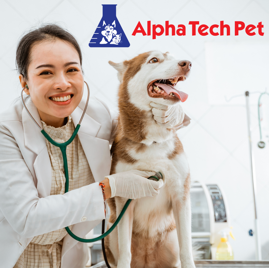 Preventing Cross-Contamination in Veterinary Settings: Key Strategies and Techniques