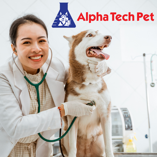 Preventing Cross-Contamination in Veterinary Settings: Key Strategies and Techniques