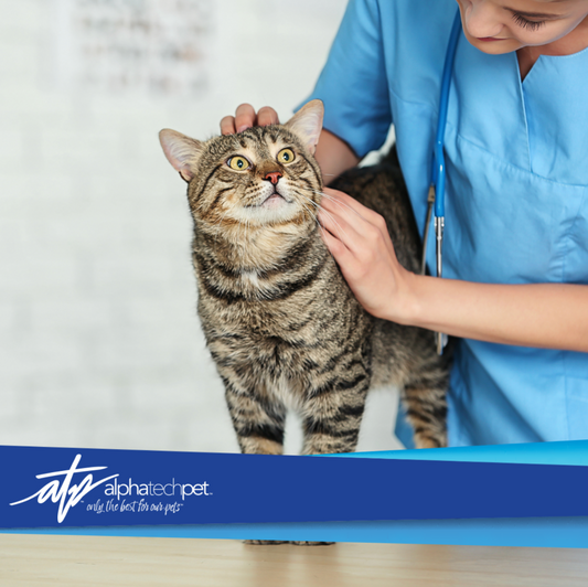 Properties of Ideal Pet Disinfectants