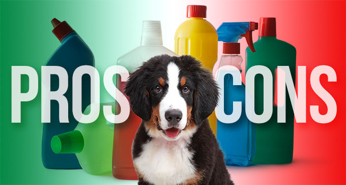 Pros and Cons of Common Disinfectants Used in Veterinary Clinics