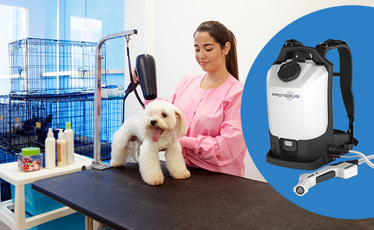 Speed Up Sanitizing with Electrostatic Sprayers