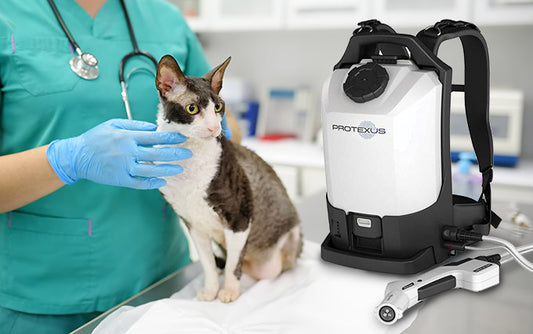 Everything You Need to Know About the PX300ES Electrostatic Sprayer Backpack