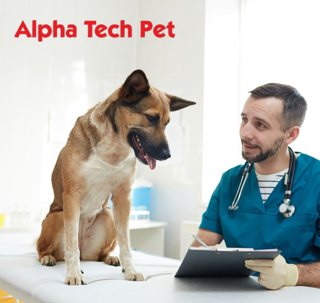 How Does Your Pet Care Facility Rank On Sanitation?
