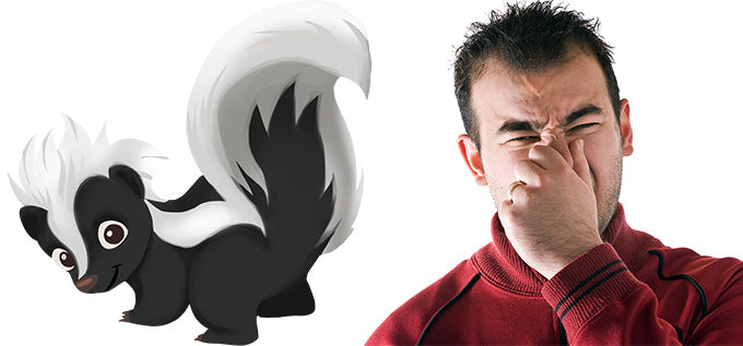 How to Get Rid of Skunk Smell