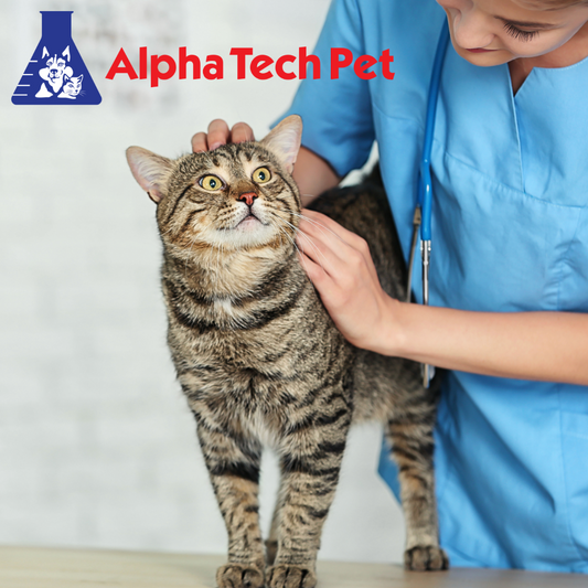 Choosing the Right Cleaning Products for Veterinary Clinic Surfaces: What to Look For