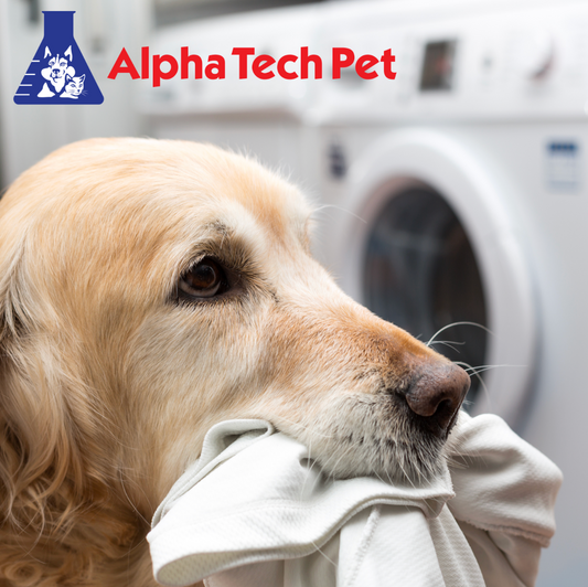 The Science of Cleaning: Understanding Detergents and Disinfectants in Veterinary Medicine