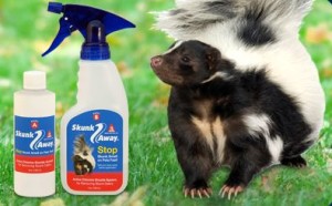 Pet Odor Remover Products & Skunk Odor Remover