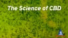 Science of CBD - Dr. Shawn E. Seitz
