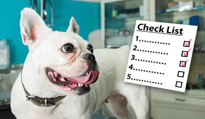 Top Tips to Clean Your Veterinary Office