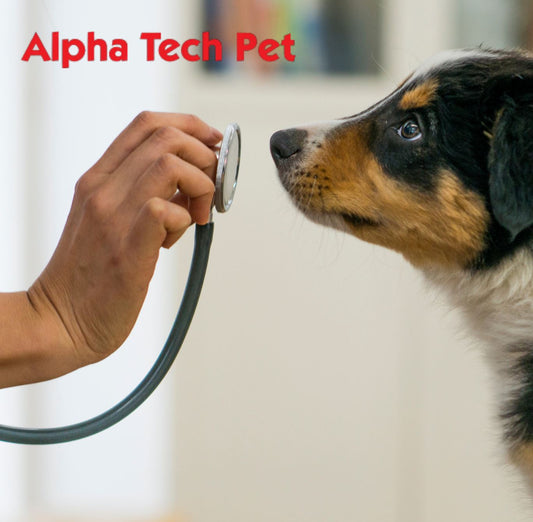 Is Your Veterinary Clinic Really Clean?
