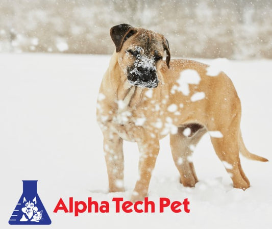 Keeping Your Clinic Winter-Safe