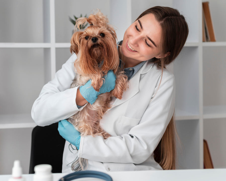 ATP remains an influential leader in the business of pet care, providing innovative products developed through science-based formulations that deliver solutions for your needs surrounding pet care services.