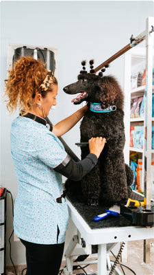 “PETSUDS is by far the best we have ever used”