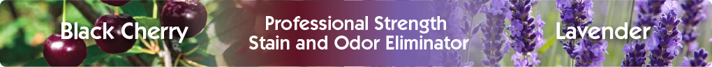 OdorPet Concentrate stain and odor remover