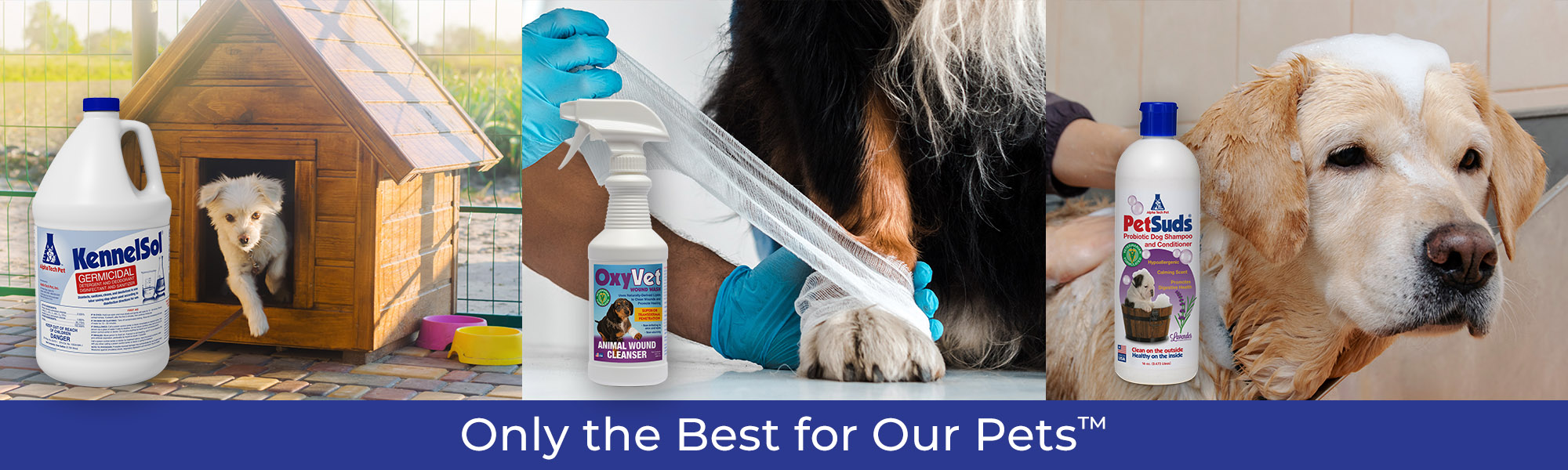 kennel cleaning