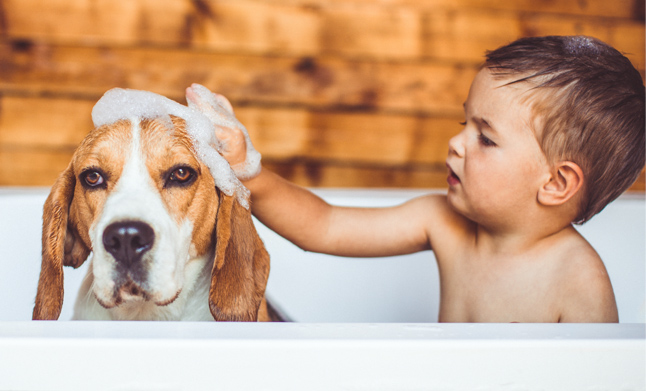 pet probiotic