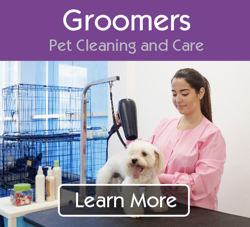 Pet Groomer Supplies