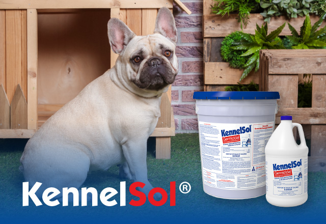 kennelsol broad spectrum cleaner and disinfectant