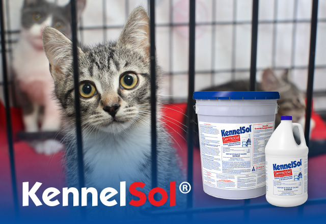 kennelsol broad spectrum cleaner and disinfectant