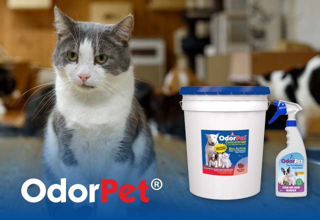 odorpet odor counteractant and cleaner