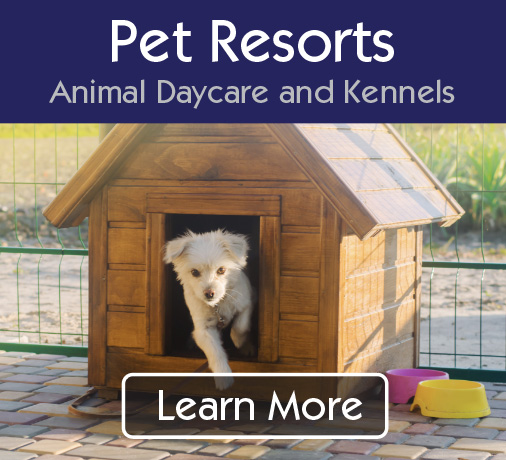 Pet Resorts, Boarding, Animal Daycare & Kennel Supplies
