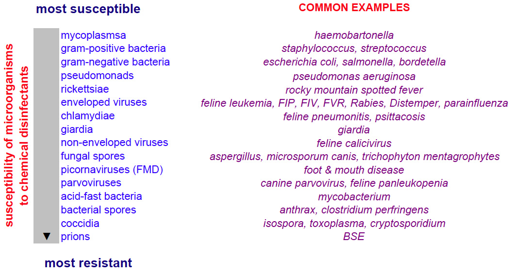 Susceptibility Chart - disinfectants
