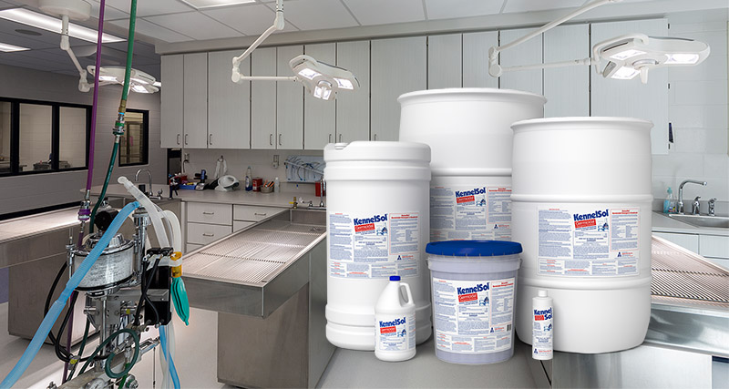 Sanitize Your Animal Care Facility Using Wholesale Pet Cleaning Supplies