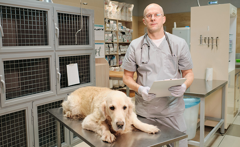 Clean and Sanitize Veterinary Equipment