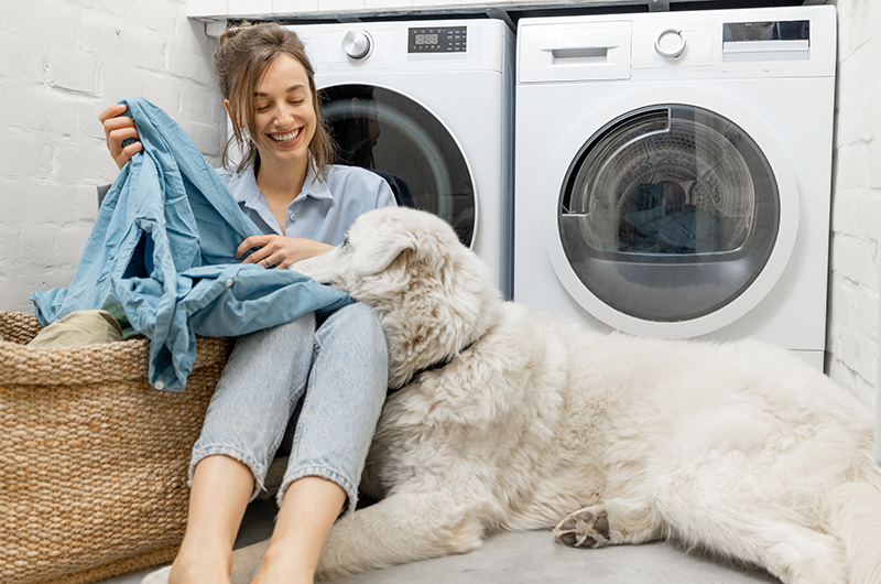 Laundry Detergent Pet Safe