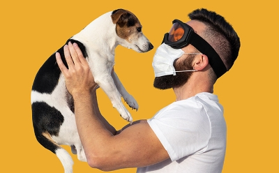 3 Reasons Why You Need a Pet Odor Remover