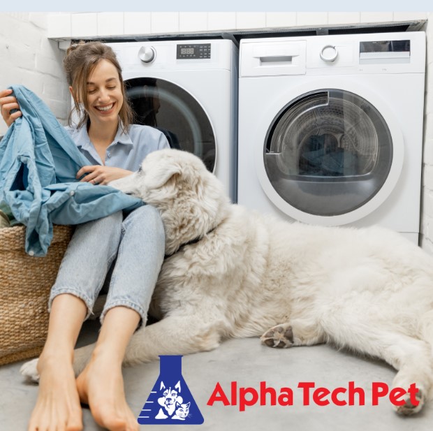 Comparing OxzPet to Other Stain Removers On The Market