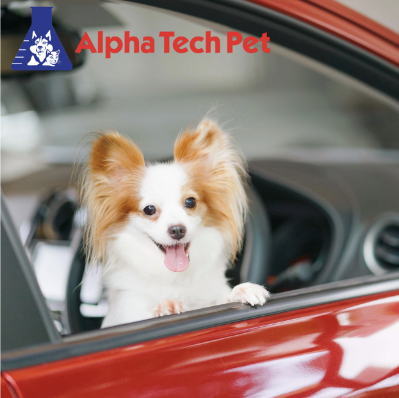 How to Prepare Your Pet For a Trip to the Vet