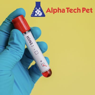 Best Practices to Guard Against Avian Influenza