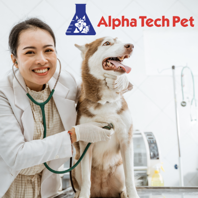 Managing Odors in Veterinary Spaces: Tips and Products for Effective Odor Control