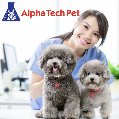 Preventing Cross-Contamination in Veterinary Clinics: Strategies and Procedures