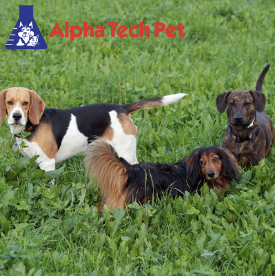 The Complete Guide to Effective Kennel Cleaning