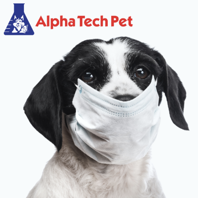 Best Practices for Preventing Disease Spread Through Kennel Cleaning