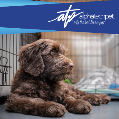 Top Pet Resort and Kennel Products