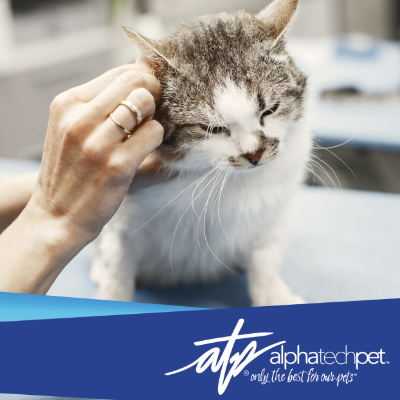 The Importance of Pathogen Control in Veterinary Clinics