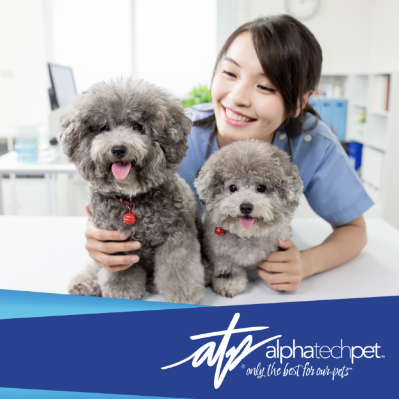 How to Combat the Spread of Zoonotic Diseases in Pet Care Environments