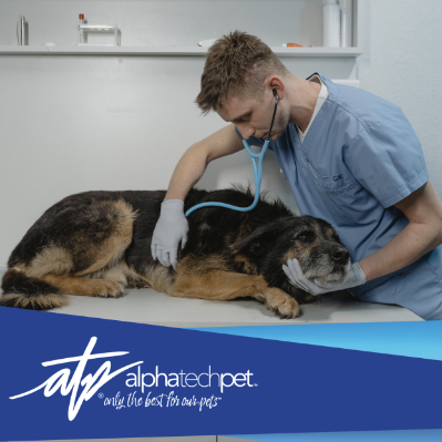 Why You Should Upgrade Your Veterinary Clinic's Cleaning Routine