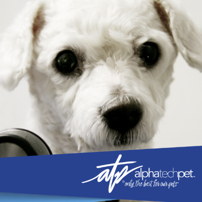 How Our Products Promote Pet Health Beyond Cleaning
