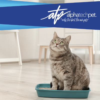 How Cleanliness Affects the Reputation of Your Pet Care Business