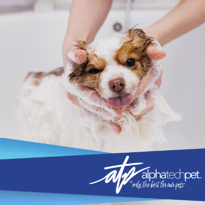 Debunking Myths About Environmentally-Friendly Pet Facility Cleaners: Are They Effective?