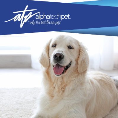 Why Clean Floors and Surfaces Help Prevent Skin Conditions in Pets