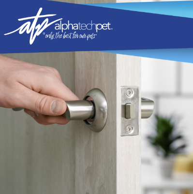 High-Touch Areas in Pet Care Facilities You Should Never Skip Cleaning